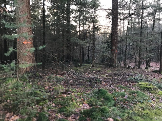 lasergame-bos-Austerlitz